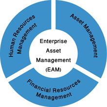 Enterprise Asset Management (EAM)